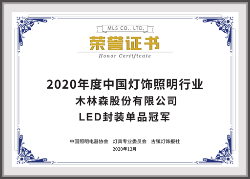 2020年度中國(guó)燈飾照明行業(yè)LED封裝單品冠軍